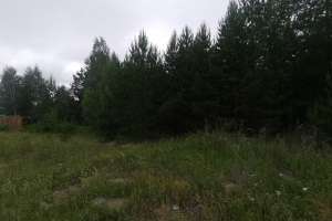 Объявление №52392 : Земельный участок, 7 соток, ЛПХ, Крутиха