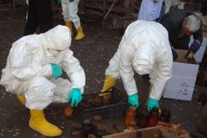 Объявление №53187 : Обезвреживание химических отходов, пром.химии  