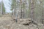 Участок в горах у оз. Таватуй