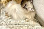 к0d6feee7-5eb1-45e5-80f4-b9602e392e05