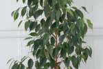IMG_20260621_121546