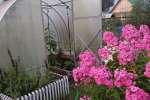 IMG-20260818-WA0046