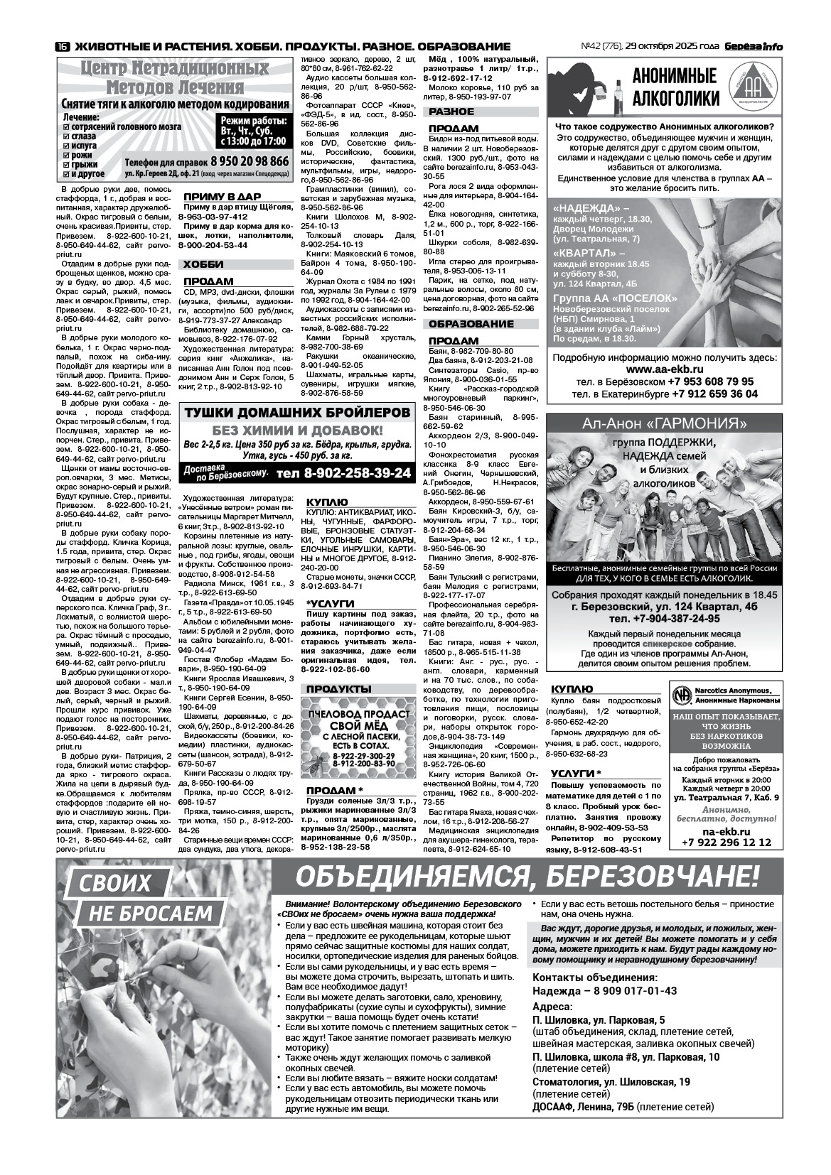 Свежий выпуск БерезаИнфо
