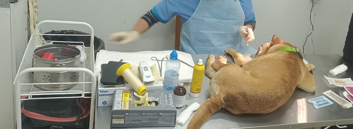 Первор общ защ2