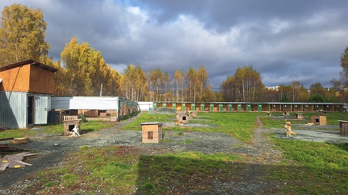 Первоуральск общ защ1