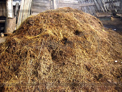 3886468-heap-of-dung-besides-shed
